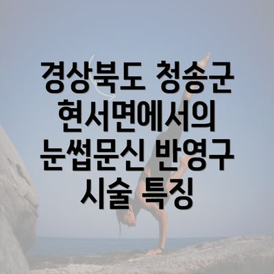 경상북도 청송군 현서면에서의 눈썹문신 반영구 시술 특징