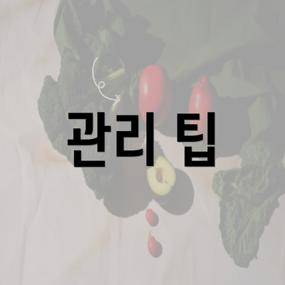 관리 팁