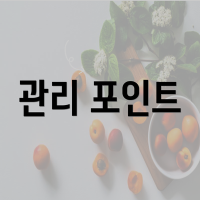 관리 포인트