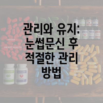 관리와 유지: 눈썹문신 후 적절한 관리 방법