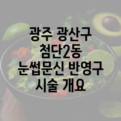 광주 광산구 첨단2동 눈썹문신 반영구 시술 개요