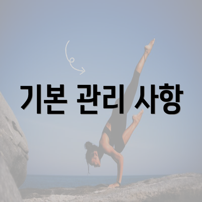 기본 관리 사항