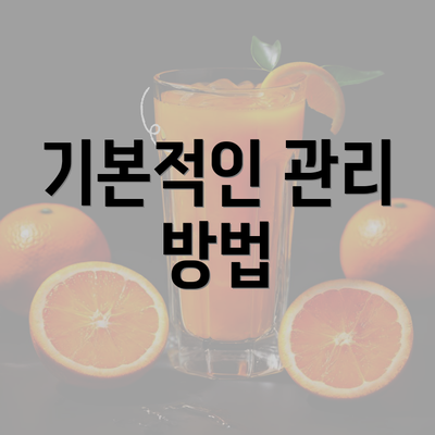 기본적인 관리 방법