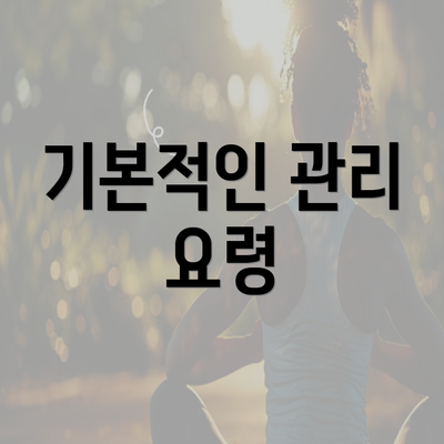 기본적인 관리 요령