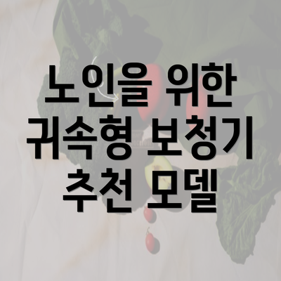 노인을 위한 귀속형 보청기 추천 모델