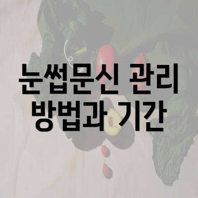 눈썹문신 관리 방법과 기간