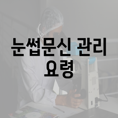 눈썹문신 관리 요령