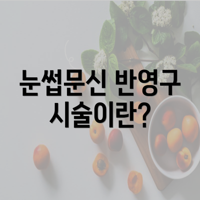 눈썹문신 반영구 시술이란?