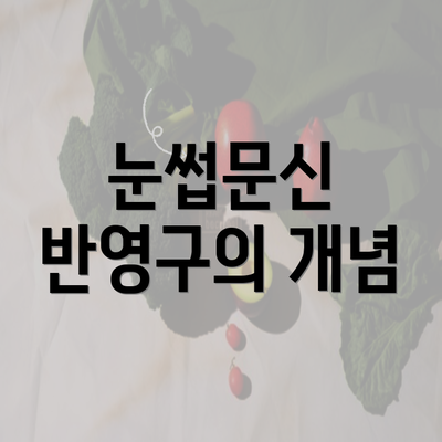 눈썹문신 반영구의 개념