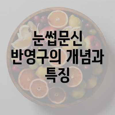 눈썹문신 반영구의 개념과 특징