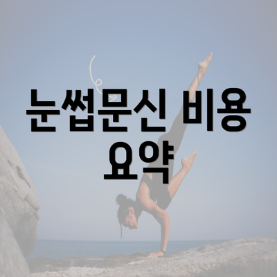 눈썹문신 비용 요약