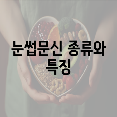 눈썹문신 종류와 특징