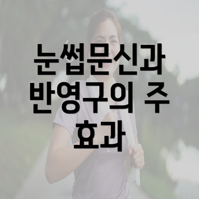 눈썹문신과 반영구의 주 효과