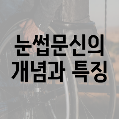 눈썹문신의 개념과 특징