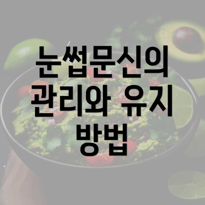 눈썹문신의 관리와 유지 방법