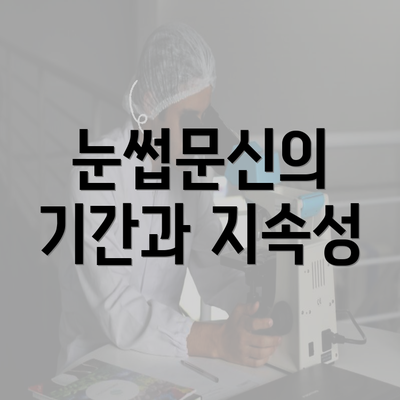 눈썹문신의 기간과 지속성