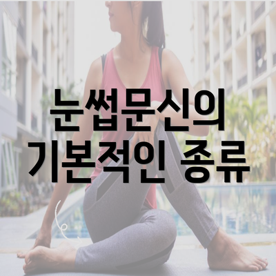 눈썹문신의 기본적인 종류