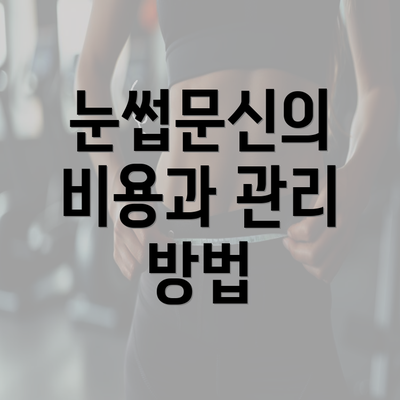 눈썹문신의 비용과 관리 방법