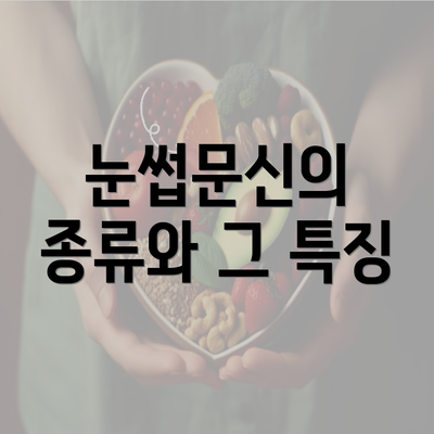 눈썹문신의 종류와 그 특징