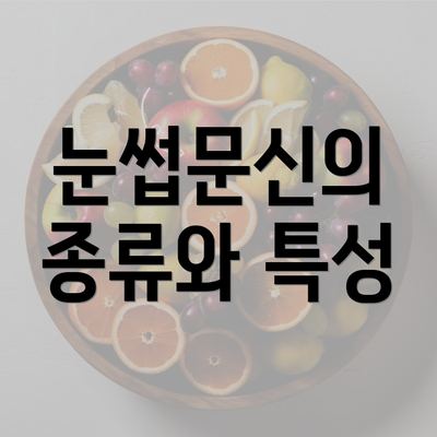 눈썹문신의 종류와 특성