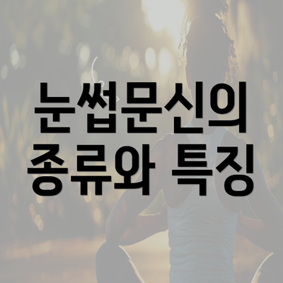 눈썹문신의 종류와 특징