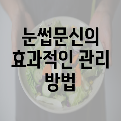 눈썹문신의 효과적인 관리 방법