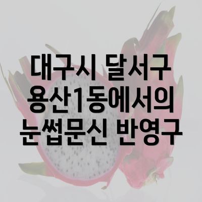 대구시 달서구 용산1동에서의 눈썹문신 반영구