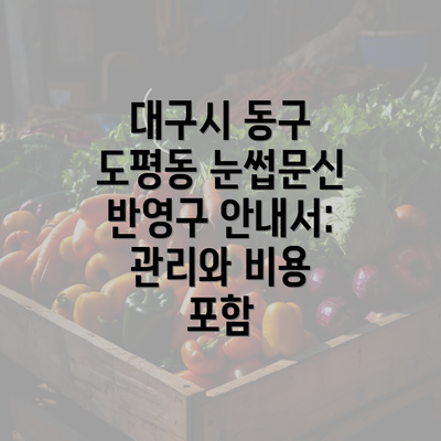 대구시 동구 도평동 눈썹문신 반영구 안내서: 관리와 비용 포함