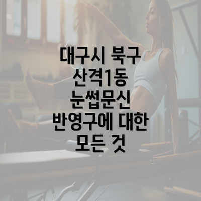 대구시 북구 산격1동 눈썹문신 반영구에 대한 모든 것