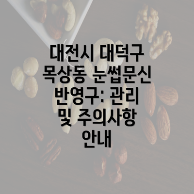 대전시 대덕구 목상동 눈썹문신 반영구: 관리 및 주의사항 안내