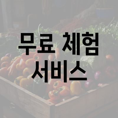 무료 체험 서비스