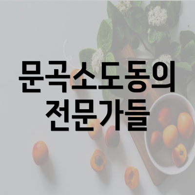 문곡소도동의 전문가들