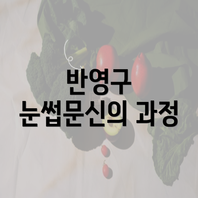 반영구 눈썹문신의 과정