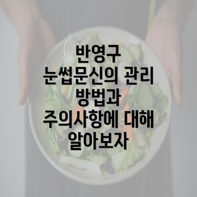 반영구 눈썹문신의 관리 방법과 주의사항에 대해 알아보자