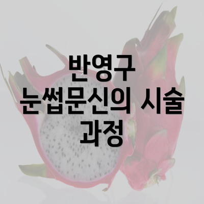 반영구 눈썹문신의 시술 과정