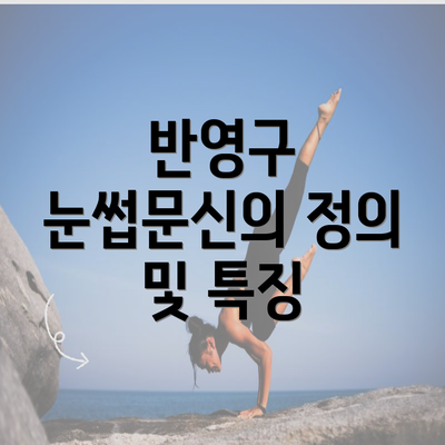 반영구 눈썹문신의 정의 및 특징