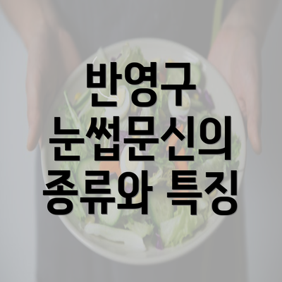 반영구 눈썹문신의 종류와 특징