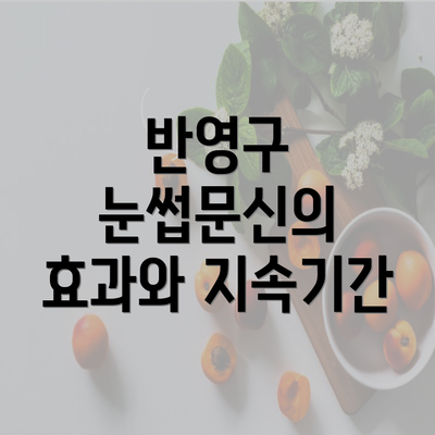 반영구 눈썹문신의 효과와 지속기간