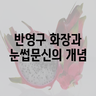 반영구 화장과 눈썹문신의 개념