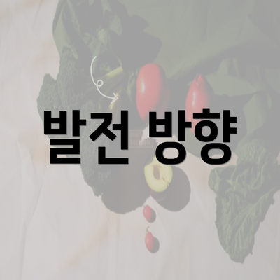 발전 방향