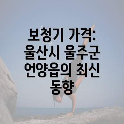 보청기 가격: 울산시 울주군 언양읍의 최신 동향