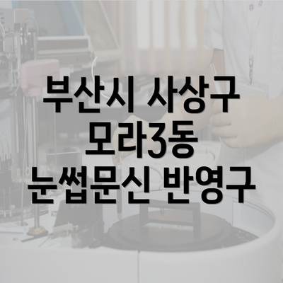 부산시 사상구 모라3동 눈썹문신 반영구