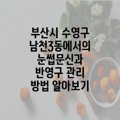 부산시 수영구 남천3동에서의 눈썹문신과 반영구 관리 방법 알아보기