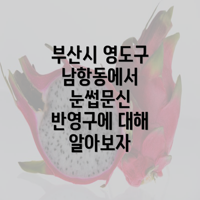 부산시 영도구 남항동에서 눈썹문신 반영구에 대해 알아보자