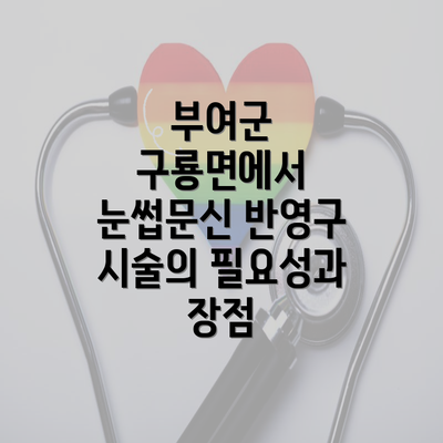 부여군 구룡면에서 눈썹문신 반영구 시술의 필요성과 장점