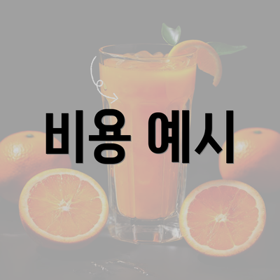 비용 예시