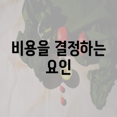 비용을 결정하는 요인