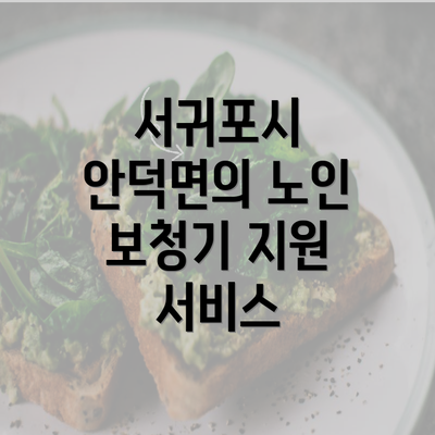 서귀포시 안덕면의 노인 보청기 지원 서비스