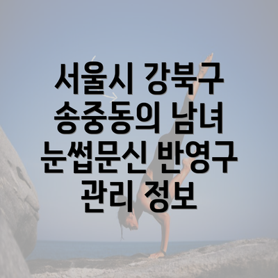 서울시 강북구 송중동의 남녀 눈썹문신 반영구 관리 정보