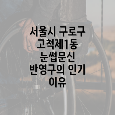 서울시 구로구 고척제1동 눈썹문신 반영구의 인기 이유